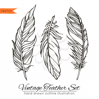 Vector illustration, template for your decoration and design