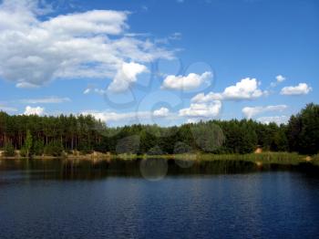 the beautiful summer landscape with picturesque lake