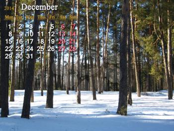 beautiful calendar for the December of 2014 on the background of winter forest