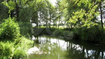 Landscape on a background of the river