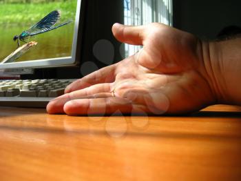 The hand of the person pointing the monitor of a computer