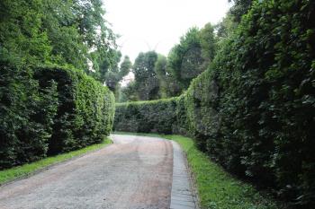 Beautiful park with nice promenade path and high green bushes