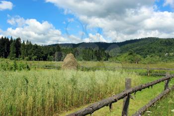 nice landscape with big clouds above Carpathian mountains