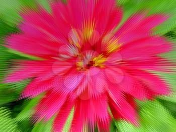 red abstract flower on the green background