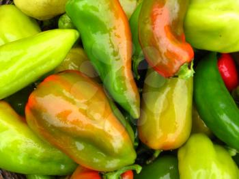 image of ?rop of multi-coloured Bulgarian sweet pepper