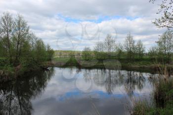 beautiful summer landscape with picturesque lake in the spring