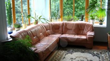 image of leather sofa with a lot of exotic plants