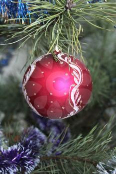 image of red New Year's ball on the fur-tree