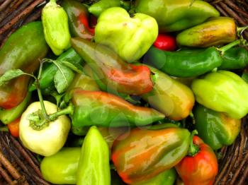 image of сrop of multicolour Bulgarian pepper