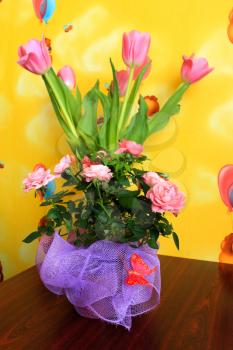 image of bouquet from tulips for a holiday on March, 8th