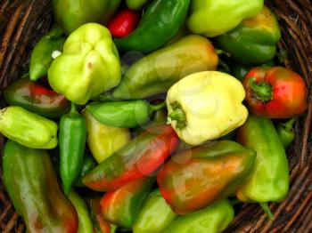 image of сrop of multicolour Bulgarian pepper