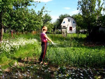 girl watering a kitchen garden in the country