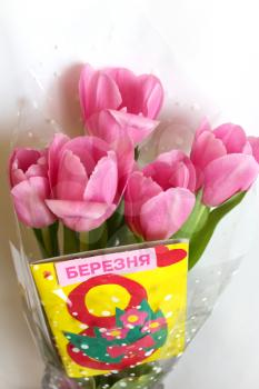 image of bouquet from tulips for a holiday on March, 8th