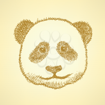 Sketch head of panda, vector vintage background