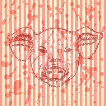 Sketch head of pig, vector vintage background