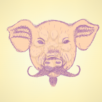 Sketch pig with mustache, vector vintage background
