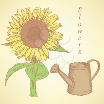 Sketch sunflower and watering can, vector vintage background