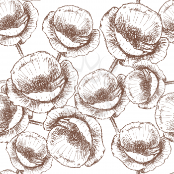 Sketch poppy, vector vintage seamless pattern eps 10