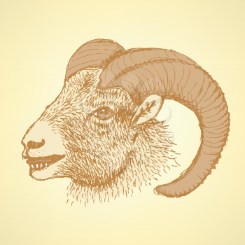 Sketch New Year ram in vintage style, background