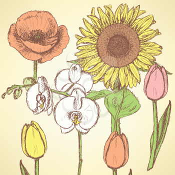 Sketch flowers, vector vintage backgrounds eps 10