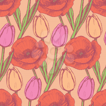 Sketch tulip and poppy, background in vintage style