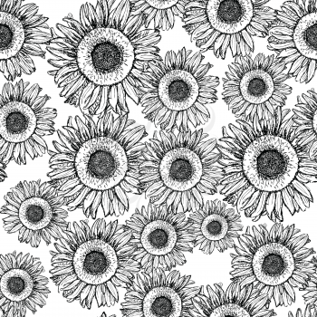 Sketch sunflower, vector vintage seamless pattern eps 10