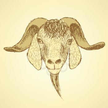 Sketch cute goat head in vintage style, background