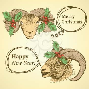 Sketch cute goat head with mistletoe in vintage style, background

