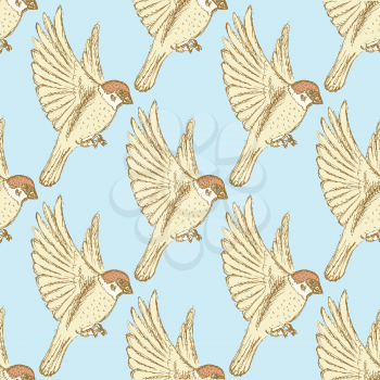 Sketch cute sparrow, vector seamless pattern in vintage style