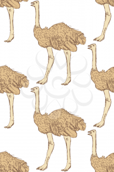 Sketch cute ostrich in vintage style, vector seamless pattern