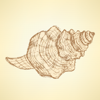 Sketch sea shell in vintage style, vector
