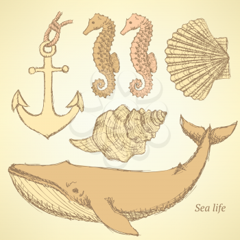 Sketch sea creatures in vintage style, vector

