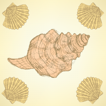 Sketch sea shells in vintage style, vector


