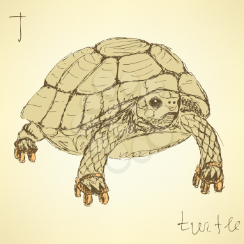 Sketch fancy turtle in vintage style, vector