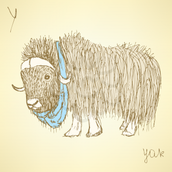 Sketch fancy yak in vintage style, vector