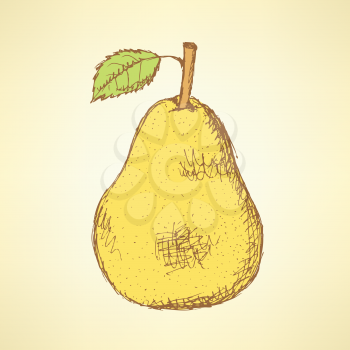 Sketch tasty pear in vintage style, vector