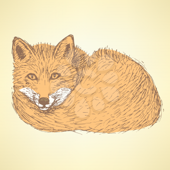 Sketch cute fox in vintage style, vector