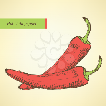 Sketch chilli pepper in vintage style, vector