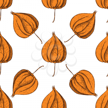 Sketch physalis in vintage style, vector seamless pattern