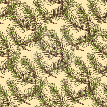 Sketch pine branch in vintage style, vector seamless pattern