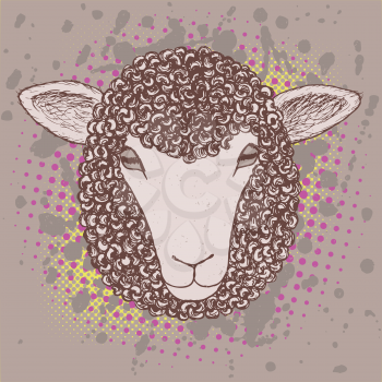 Sketch sheep poster in vintage style, vector