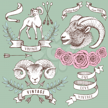 Logotypes with rams, ribbons and roses in vintage style, vector