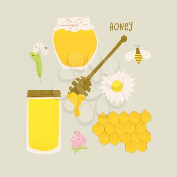 Honey vector design, honey in jars, honeycomb and bee