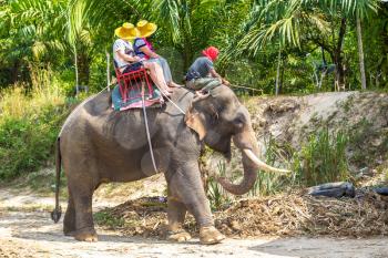 Tourists riding elephant trough jungle in Thailand in a summer day