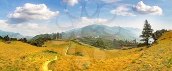 Panorama of Beautiful landscape in Sapa, Lao Cai, Vietnam in a summer day