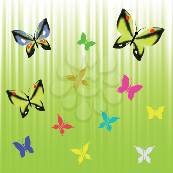 colorful illustration with  butterflies for your design