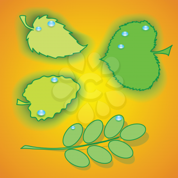colorful illustration with set of leaves for your design