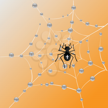 colorful illustration with Spider and web for your design