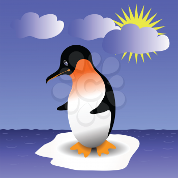 colorful illustration with penguin  for your design