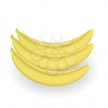 colorful illustration with fresh bananas for your design